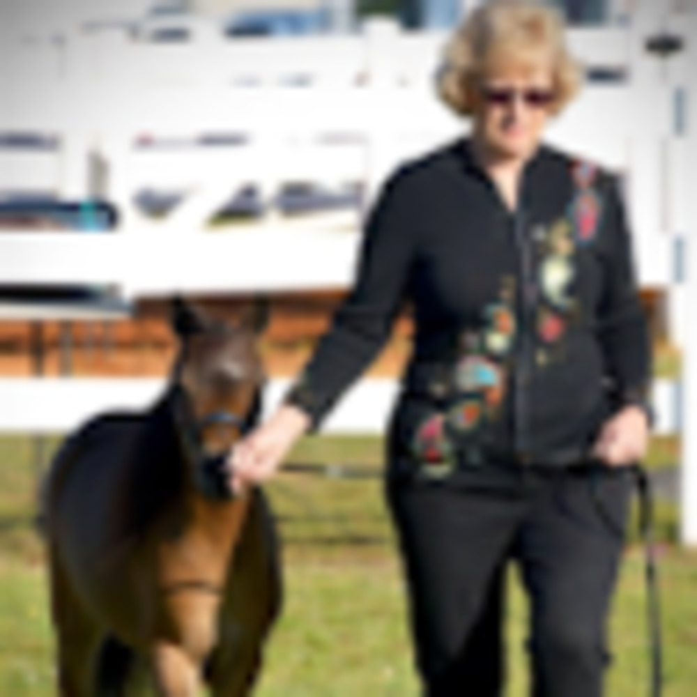 Meet your Posher, Pam